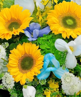 Close-up of yellow sunflowers, white anthurium, blue-white tulips, green hydrangea, white delphinium and yellow oncidium