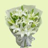 Full an abundant full bouquet of white Siberia Oriental lilies with many green buds in pale sage wrapping