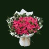 Sweet pink roses and white accent flowers in a rounded bouquet with white wrapping.