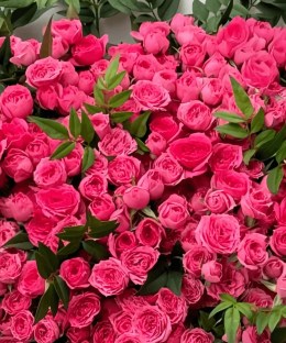 Close-up of small pink rose blooms and white floral accents in the Sofia Baby bouquet.