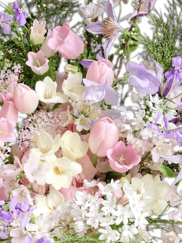 Close-up detail of pink tulips, lilac clematis and campanula, freesia, purple stock, blue-lace flowers, and flowering spiraea branches