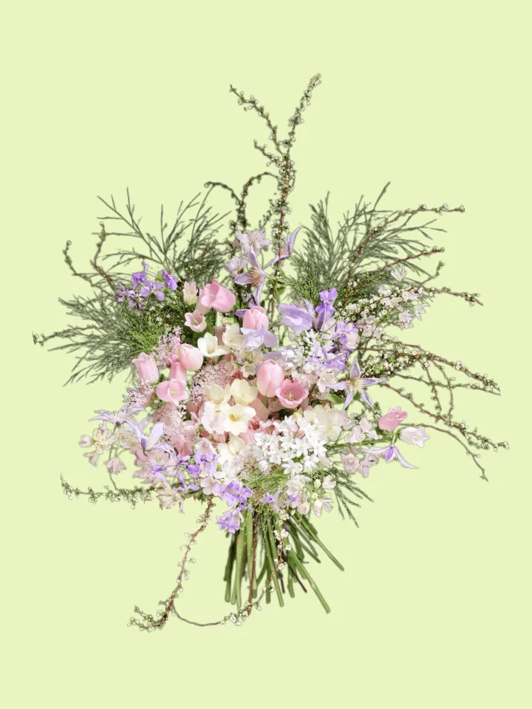 Full pink tulips, lilac clematis and campanula, freesia, purple stock, blue-lace flowers, and flowering spiraea branches