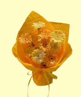 Full cream, apricot and orange gerbera with pearl, bow and iridescent accents in warm orange wrapping