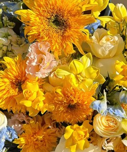 Close-up of Teddy sunflowers, blue delphinium, champagne roses, yellow calla lilies, tulips and oncidium