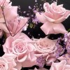 Close-up of pale pink roses and delicate filler flowers in the Sweet Yoga bouquet