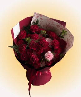 Velvet Carnation Duo Bouquet with wine-red carnations, pale pink carnations, ornamental fountain grass