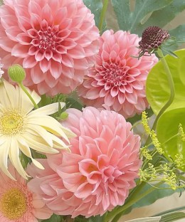 Close-up detail of green anthurium, pink pompon dahlias, pale gerbera, burgundy scabiosa, yellow umbels, and fern foliage
