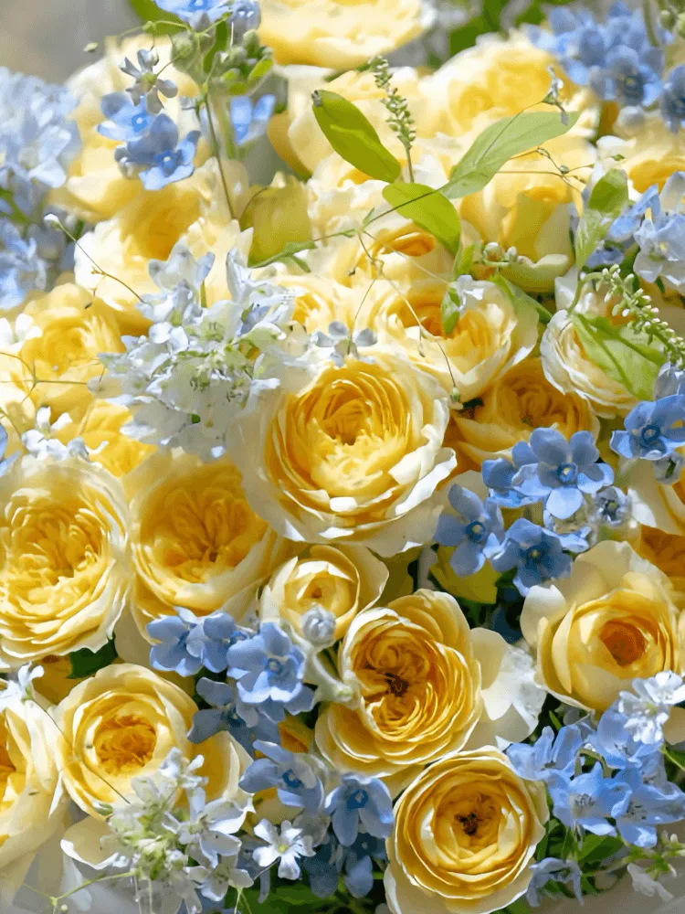 Close-up detail of yellow garden roses with blue tweedia, pale-blue delphinium, white Queen Anne's lace, and fresh greenery