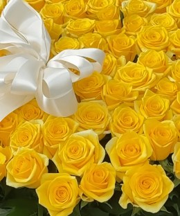 Close-up detail of fresh yellow rose heads and a white ribbon on a yellow rose basket.