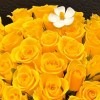 Close-up of vivid yellow rose blooms and light accent flowers.
