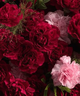 Close-up of wine-red carnations, pale pink carnations, ornamental fountain grass in the Velvet Carnation Duo Bouquet
